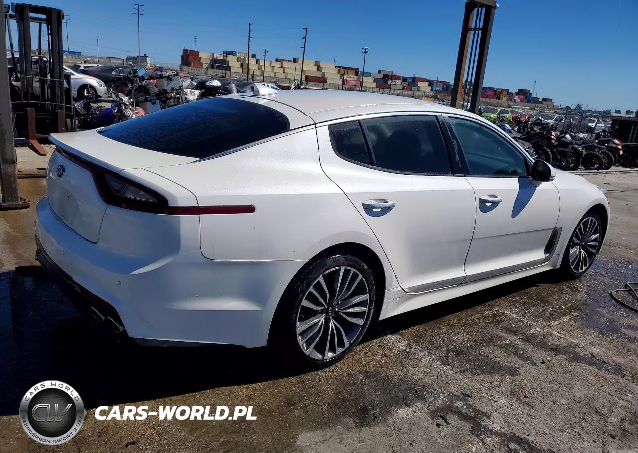 2019 Kia Stinger Base VIN:KNAE15LA2K6051453 - 3