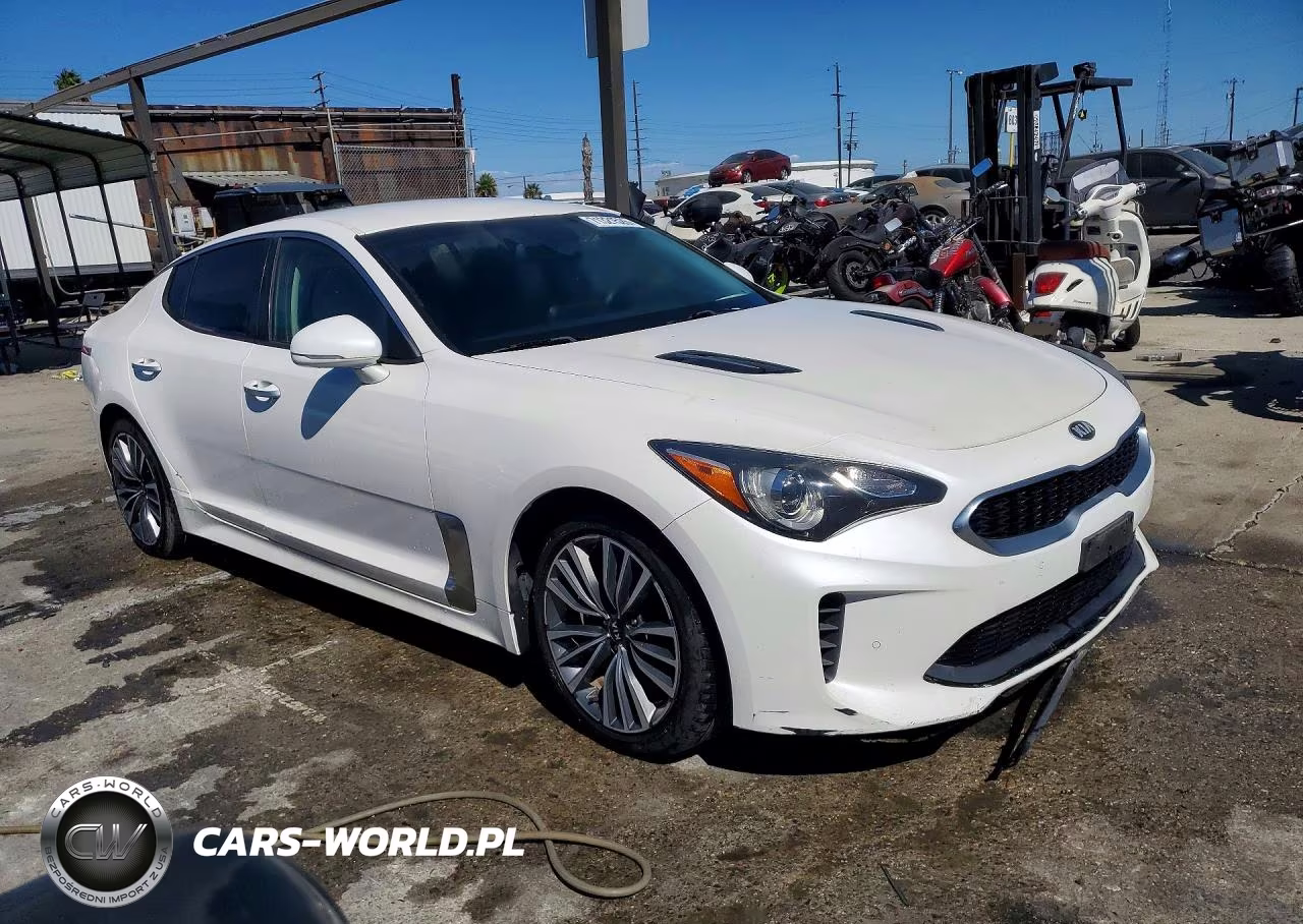 2019 Kia Stinger Base VIN:KNAE15LA2K6051453 - 4