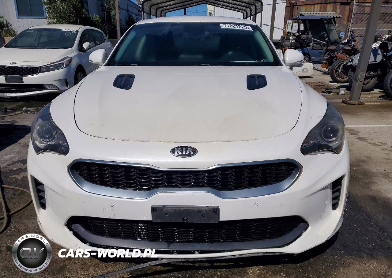 2019 Kia Stinger Base VIN:KNAE15LA2K6051453 - 5
