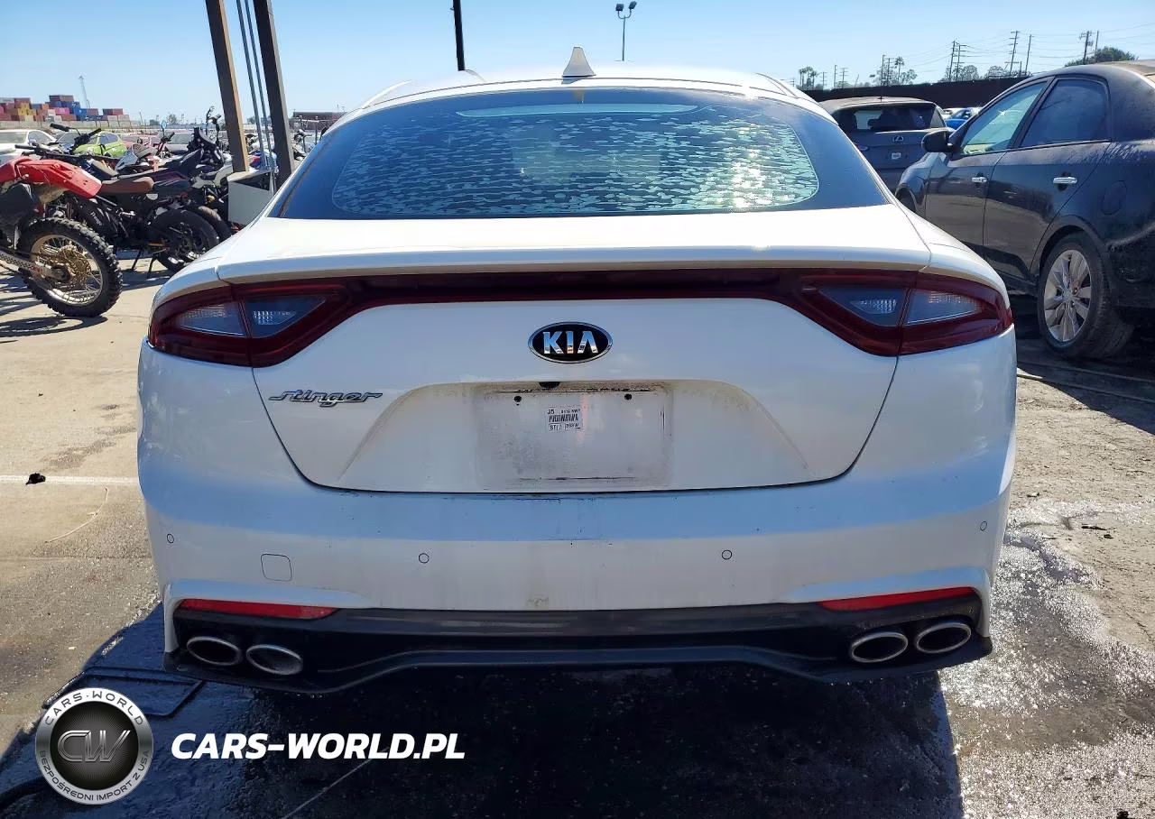 2019 Kia Stinger Base VIN:KNAE15LA2K6051453 - 6