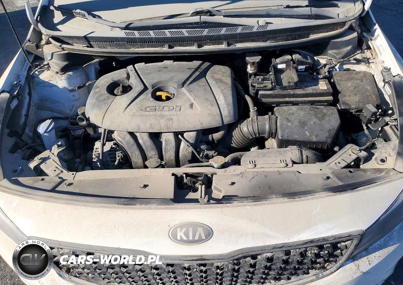 2017 Kia Forte5 Lx VIN:KNAFK5A85H5690975 - 11
