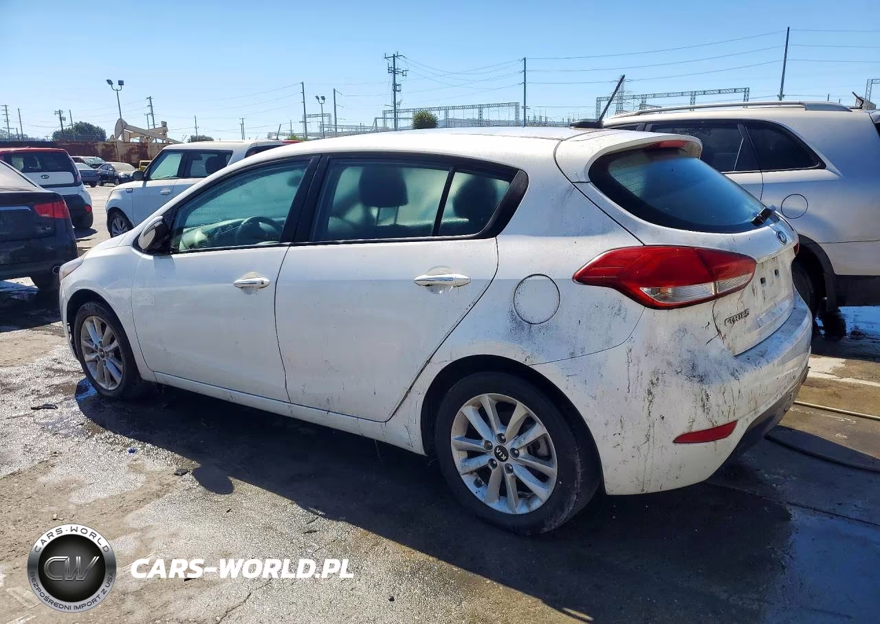 2017 Kia Forte5 Lx VIN:KNAFK5A85H5690975 - 2