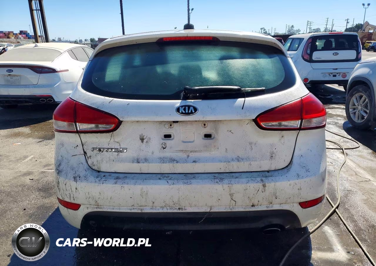 2017 Kia Forte5 Lx VIN:KNAFK5A85H5690975 - 6