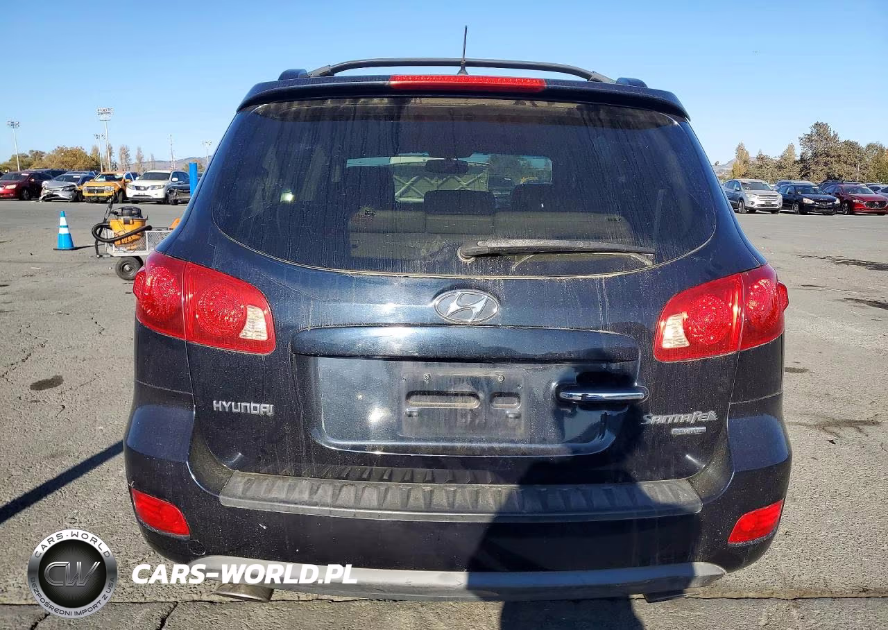 2007 Hyundai Santa Fe Se VIN:5NMSH13E47H024164 - 6