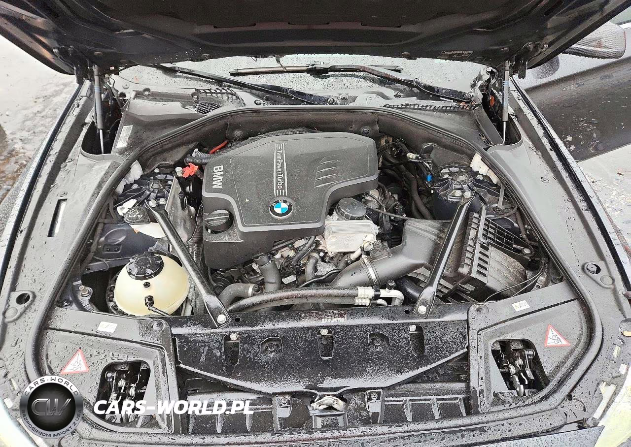 2013 BMW 528 I VIN:WBAXG5C51DDY30982 - 11
