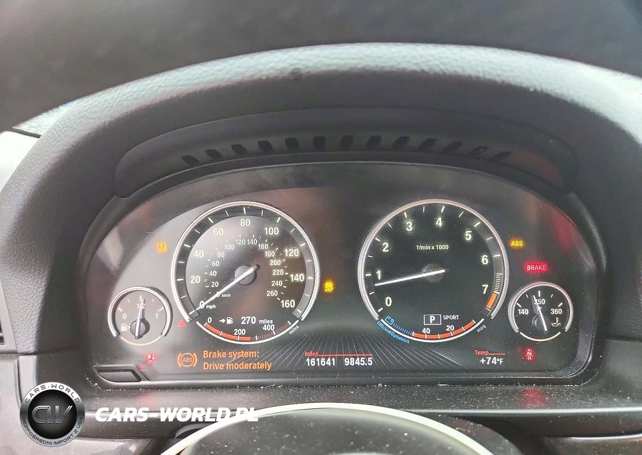2013 BMW 528 I VIN:WBAXG5C51DDY30982 - 9