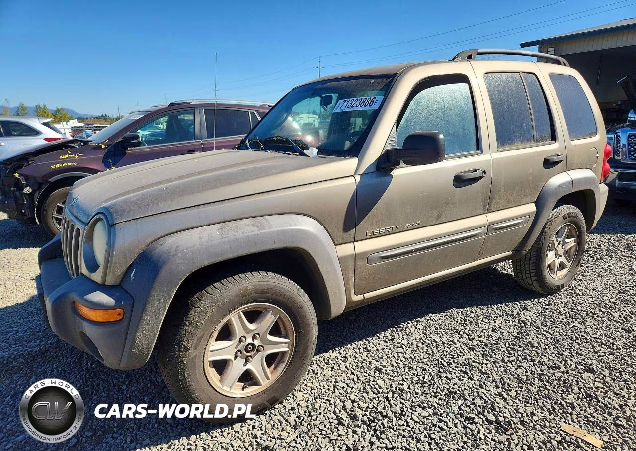 2003 Jeep Liberty Sport VIN:1J4GL48K13W675368 - 1