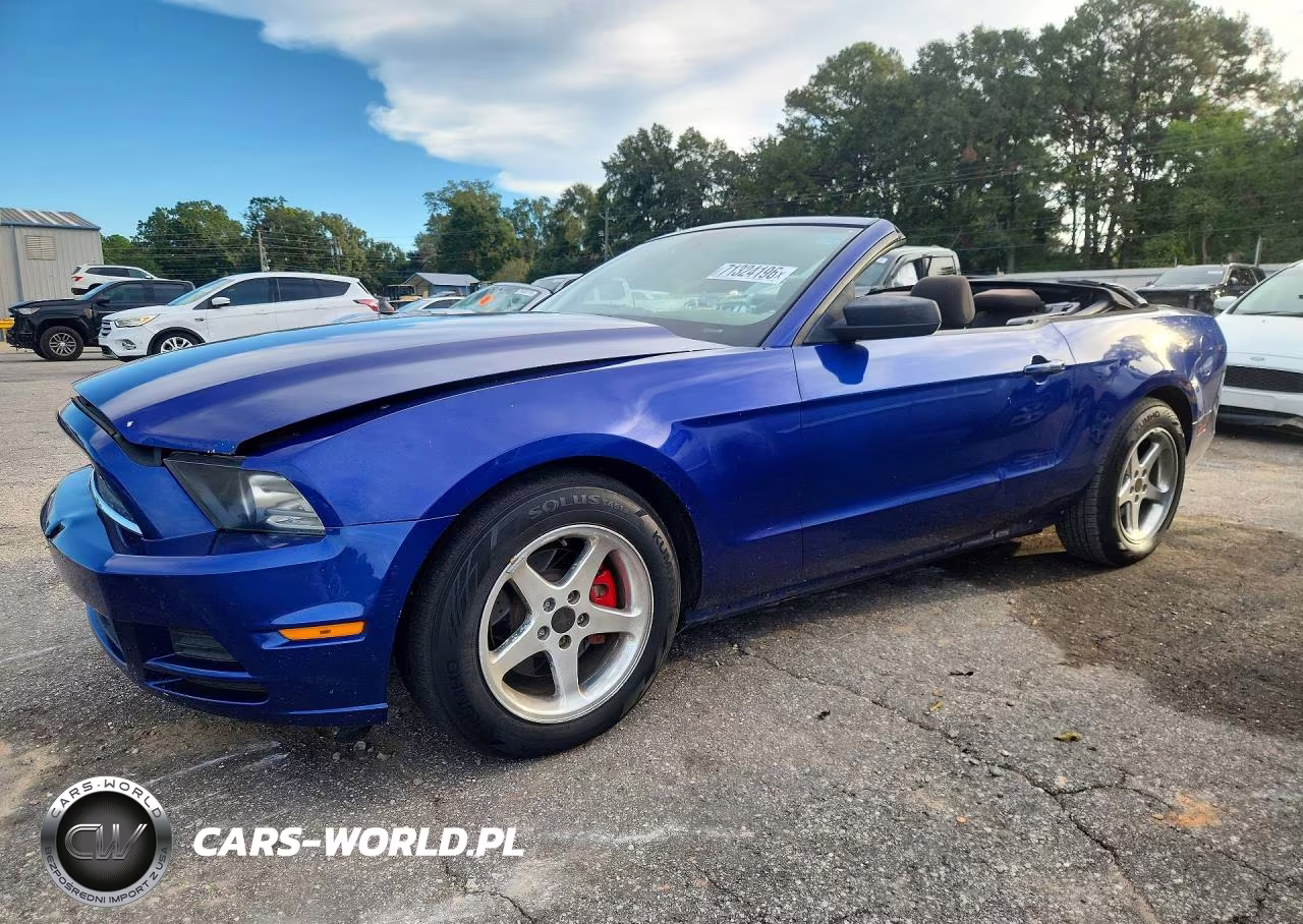 2013 Ford Mustang VIN:1ZVBP8EM6D5203821 - 1