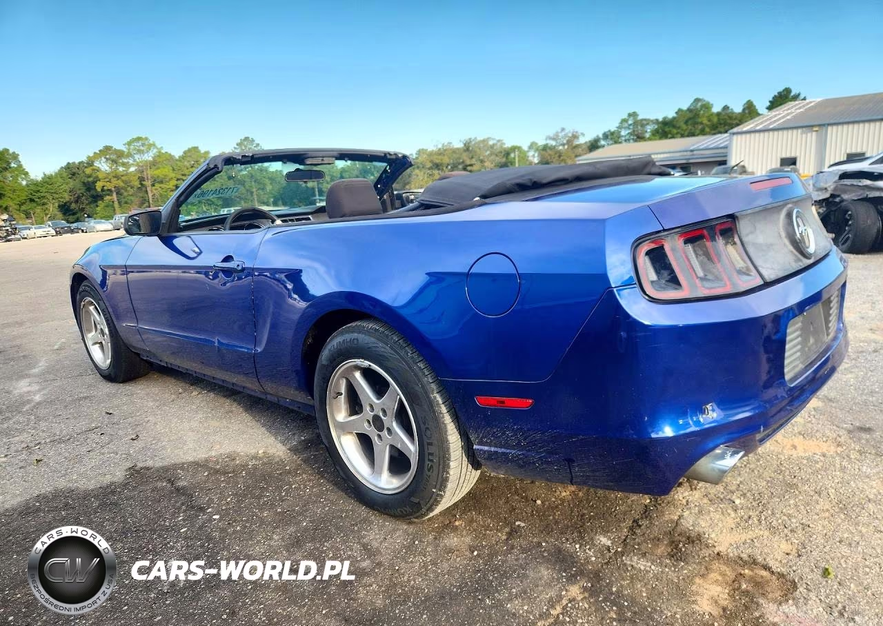 2013 Ford Mustang VIN:1ZVBP8EM6D5203821 - 2