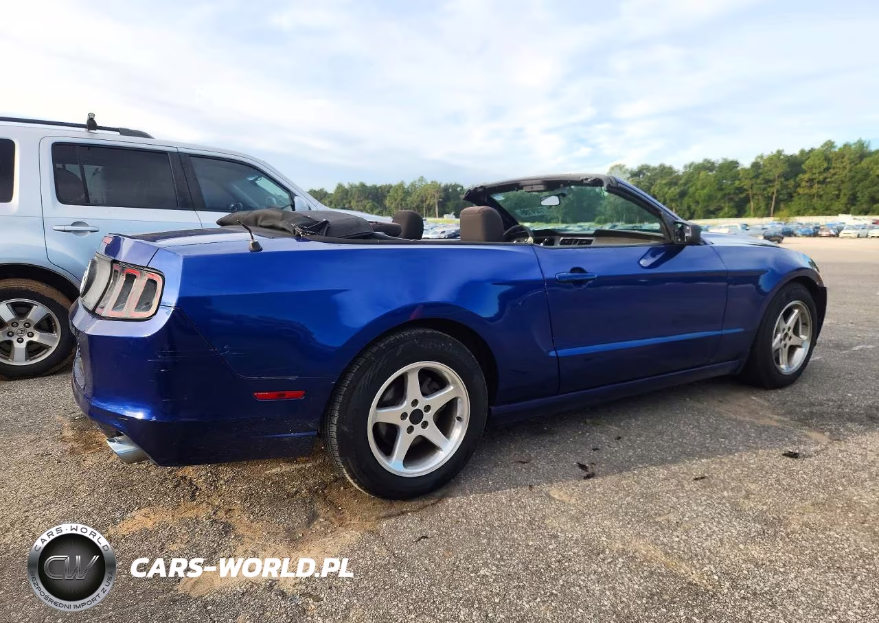 2013 Ford Mustang VIN:1ZVBP8EM6D5203821 - 3