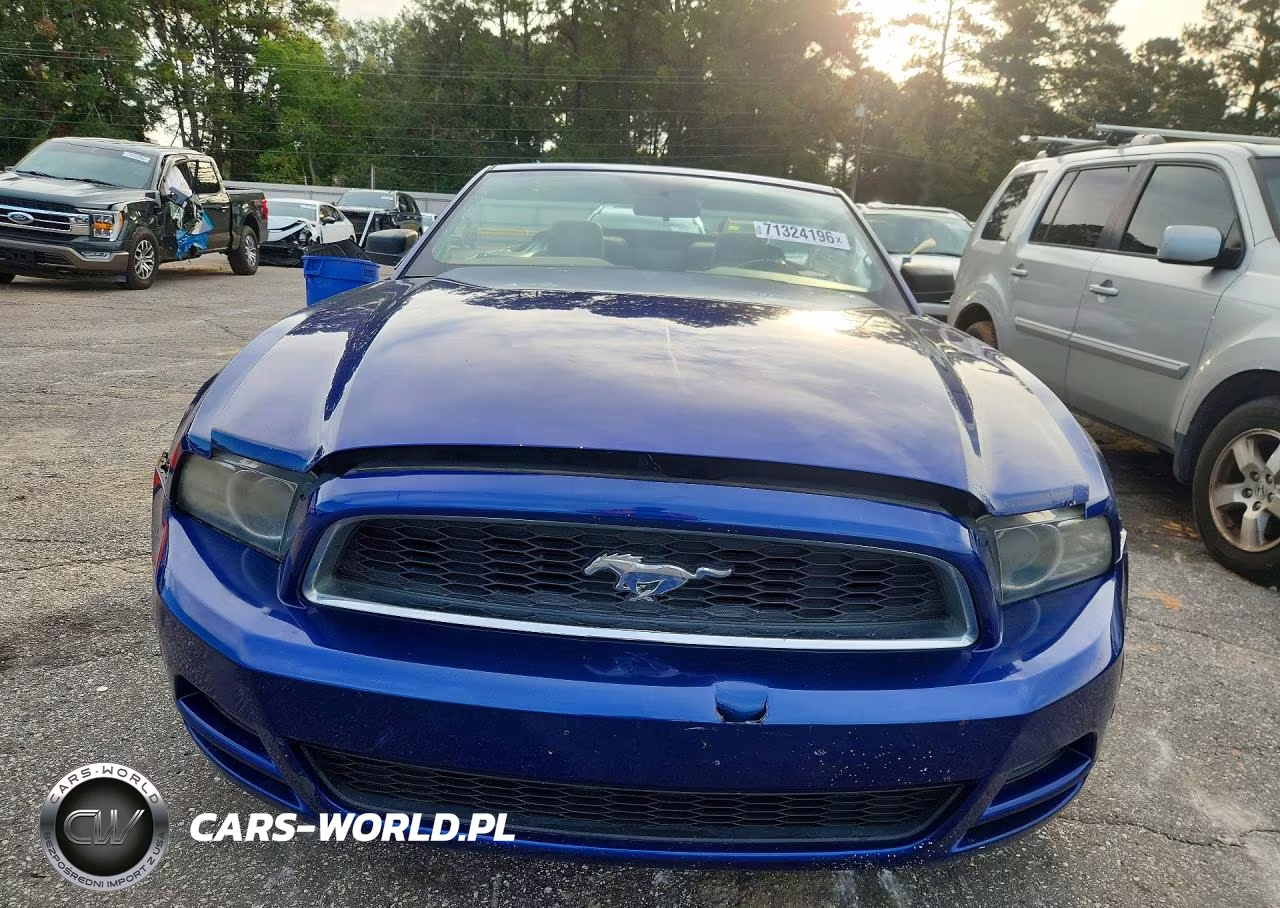2013 Ford Mustang VIN:1ZVBP8EM6D5203821 - 5