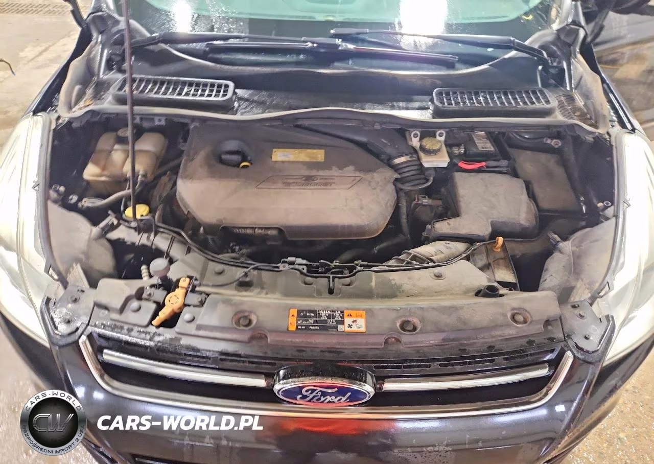 2013 Ford Escape Sel VIN:1FMCU0HX2DUA11255 - 12
