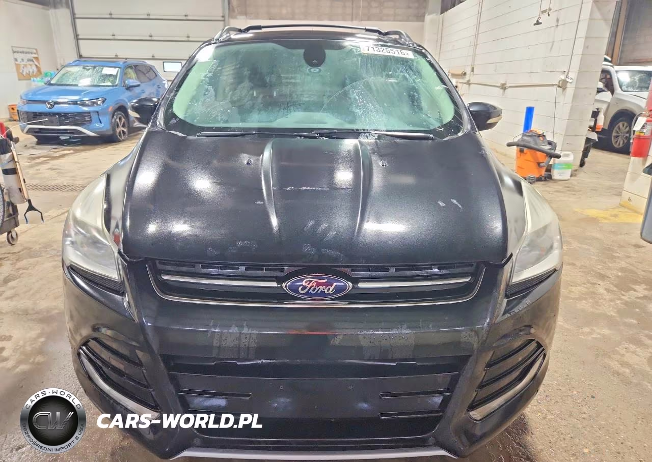 2013 Ford Escape Sel VIN:1FMCU0HX2DUA11255 - 5