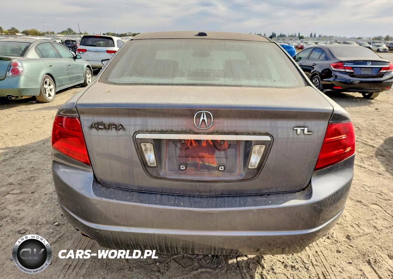 2006 Acura 3.2Tl VIN:19UUA66246A065979 - 6