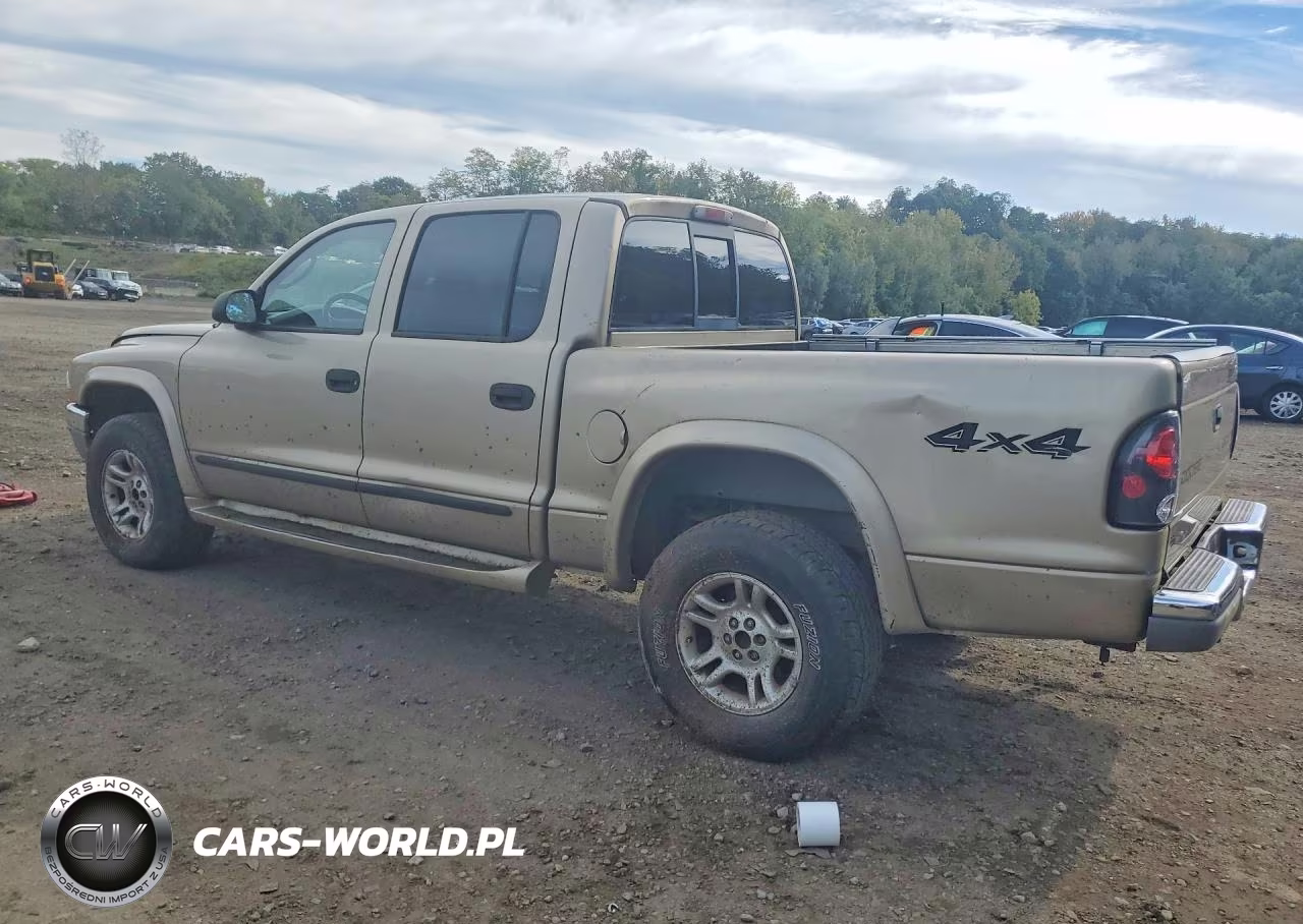 2004 Dodge Dakota VIN:1D7HG48N14S504871 - 2