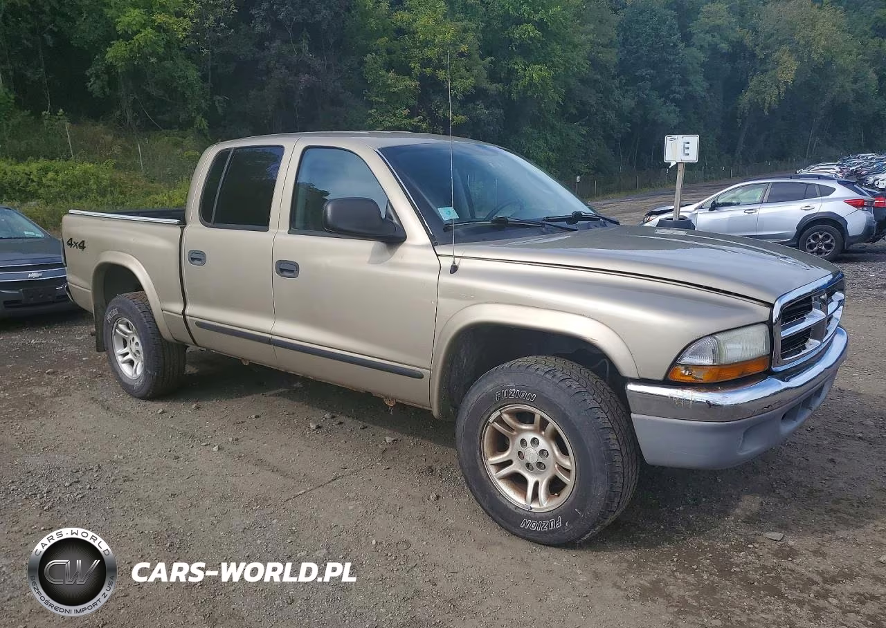 2004 Dodge Dakota VIN:1D7HG48N14S504871 - 4