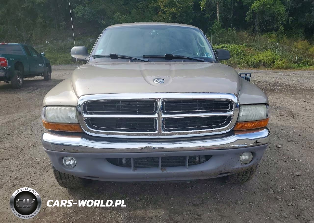 2004 Dodge Dakota VIN:1D7HG48N14S504871 - 5