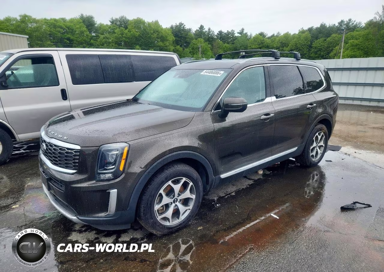 2021 Kia Telluride Ex VIN:5XYP3DHC7MG103007 - 1