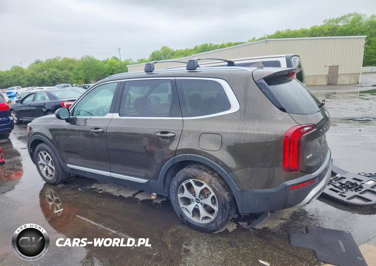 2021 Kia Telluride Ex VIN:5XYP3DHC7MG103007 - 2