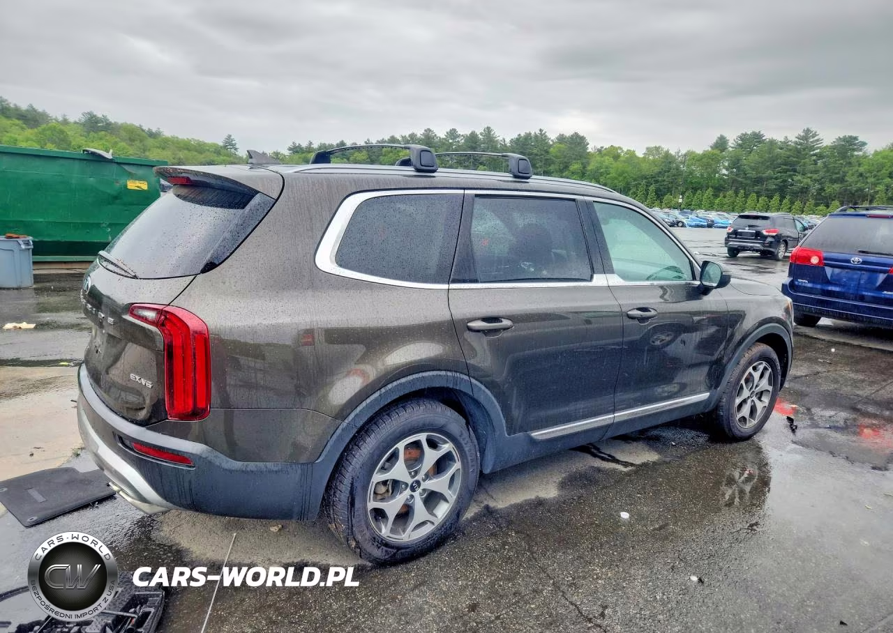2021 Kia Telluride Ex VIN:5XYP3DHC7MG103007 - 3