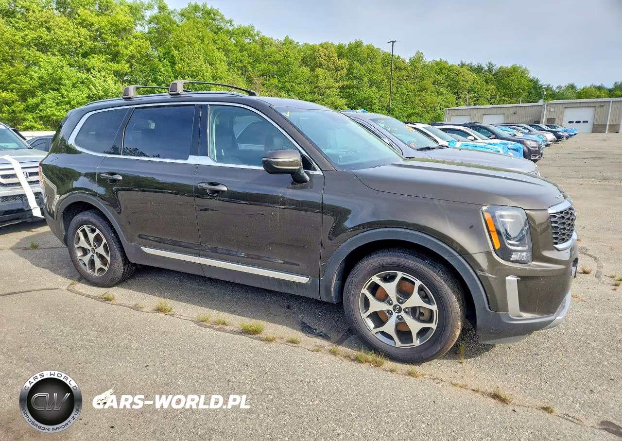 2021 Kia Telluride Ex VIN:5XYP3DHC7MG103007 - 4