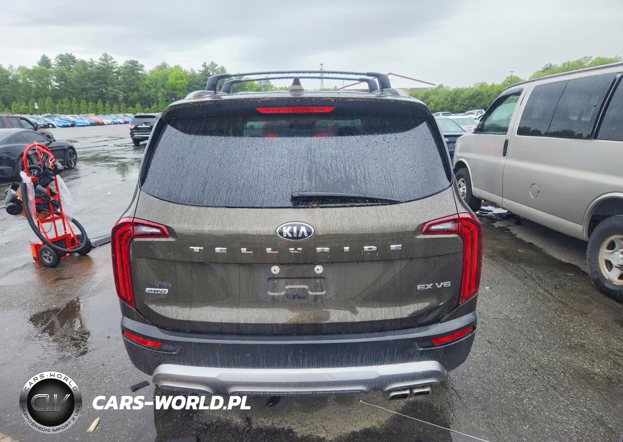 2021 Kia Telluride Ex VIN:5XYP3DHC7MG103007 - 6