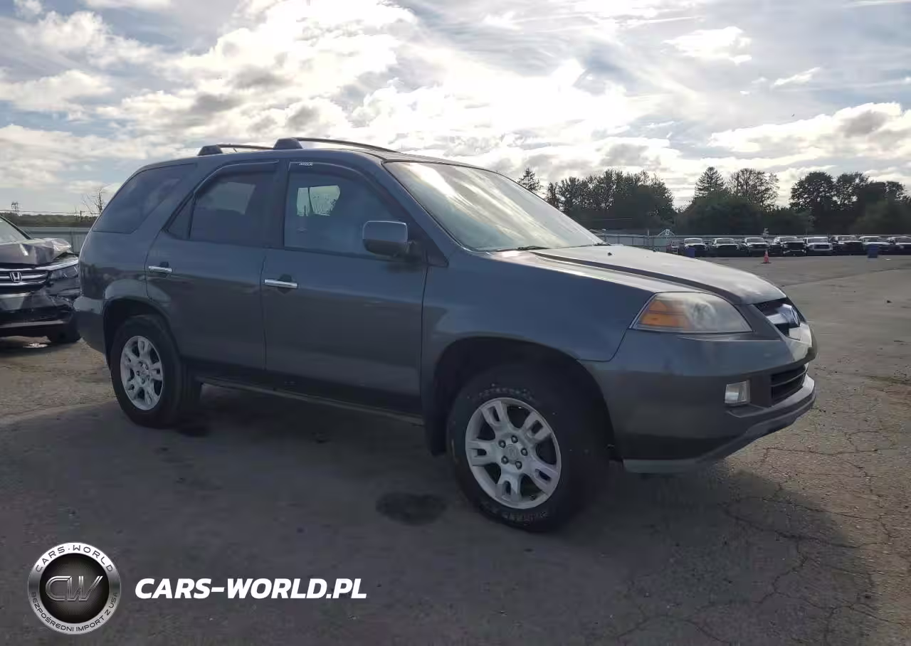 2004 Acura Mdx Touring VIN:2HNYD187X4H555578 - 4