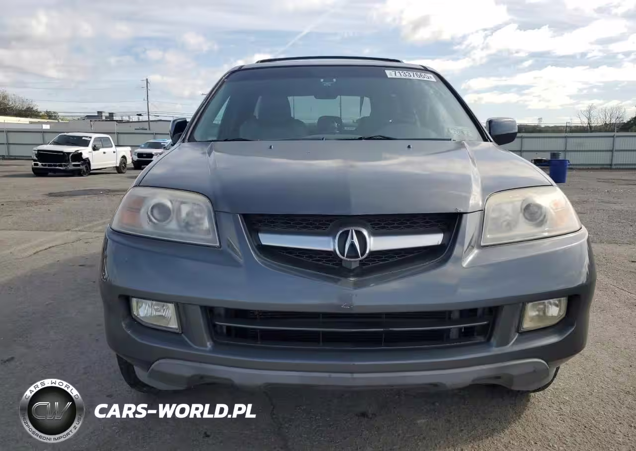 2004 Acura Mdx Touring VIN:2HNYD187X4H555578 - 5