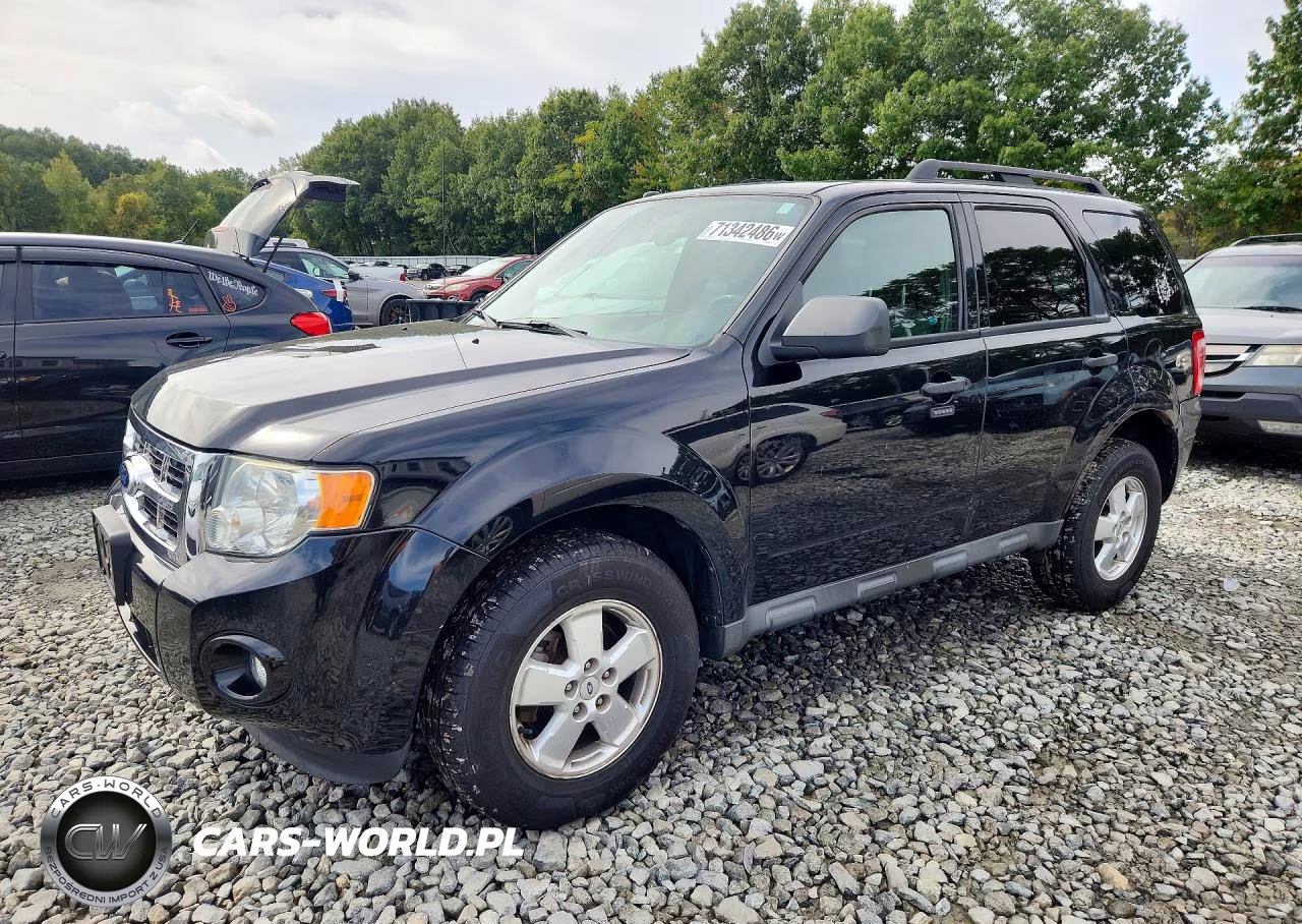 2010 Ford Escape Xlt