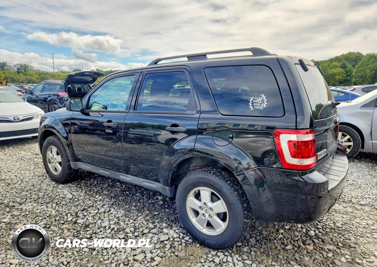 2010 Ford Escape Xlt VIN:1FMCU0D71AKD36234 - 2