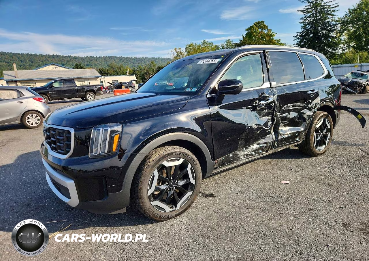 2024 Kia Telluride S VIN:5XYP6DGC5RG492035 - 1
