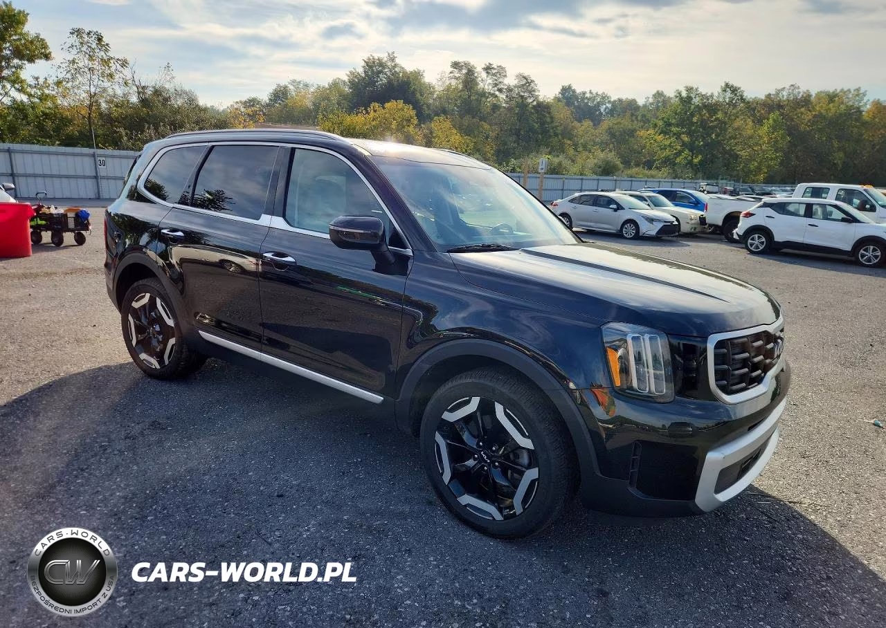 2024 Kia Telluride S VIN:5XYP6DGC5RG492035 - 4