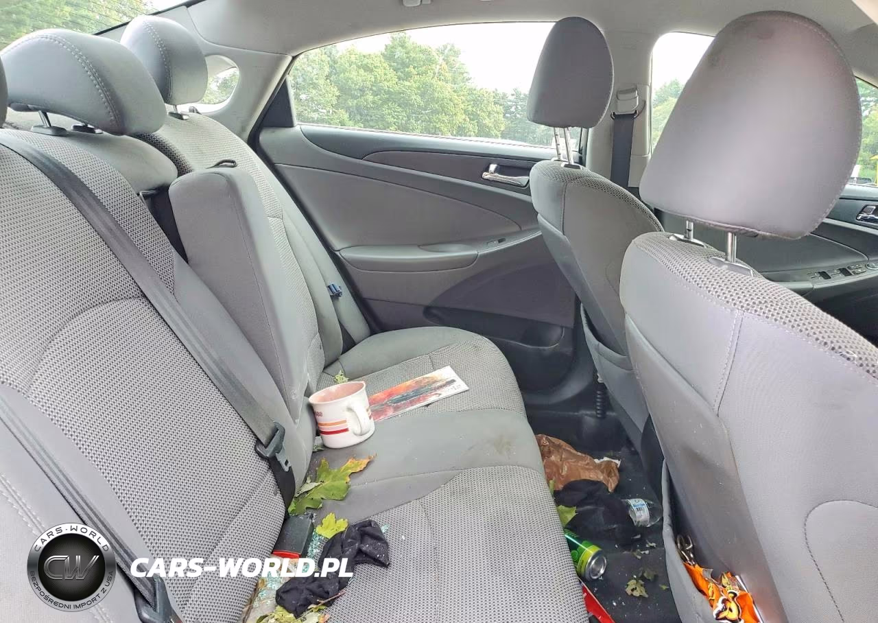 2014 Hyundai Sonata Gls VIN:5NPEB4AC4EH935872 - 10