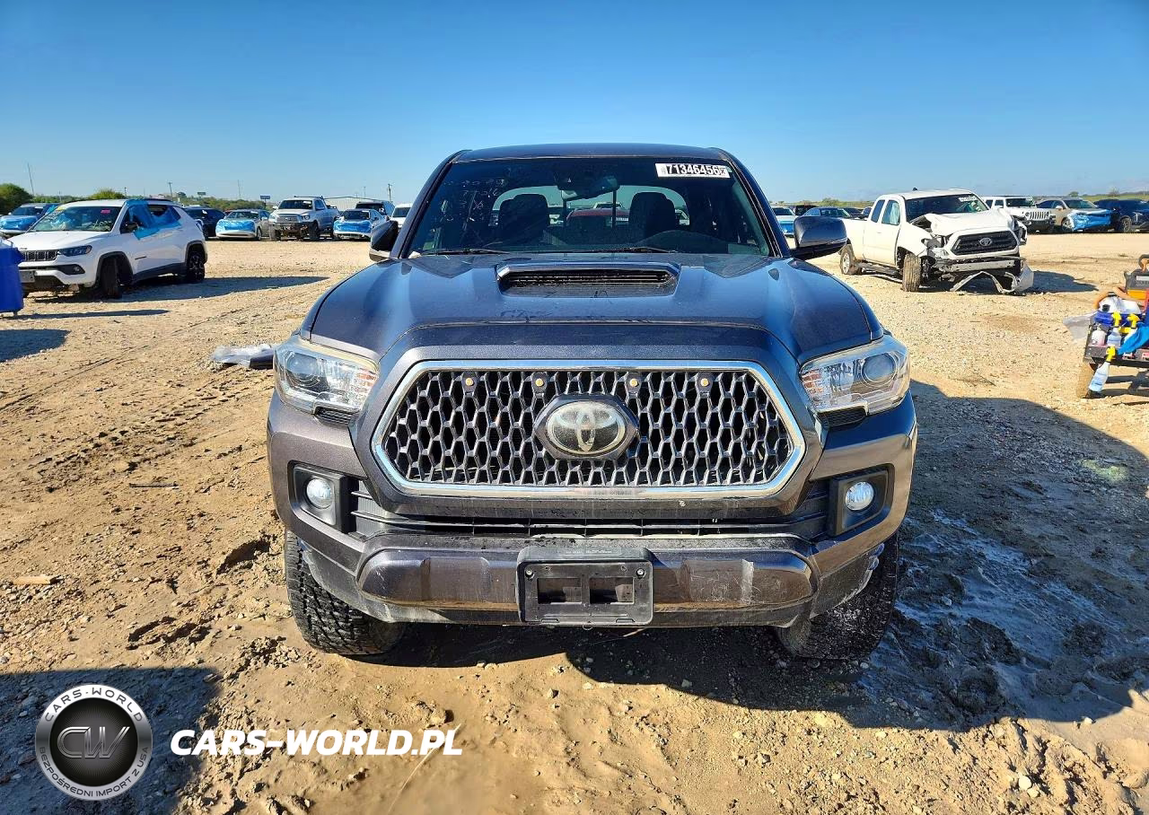 2019 Toyota Tacoma Trd Sport VIN:5TFAZ5CN1KX075766 - 5