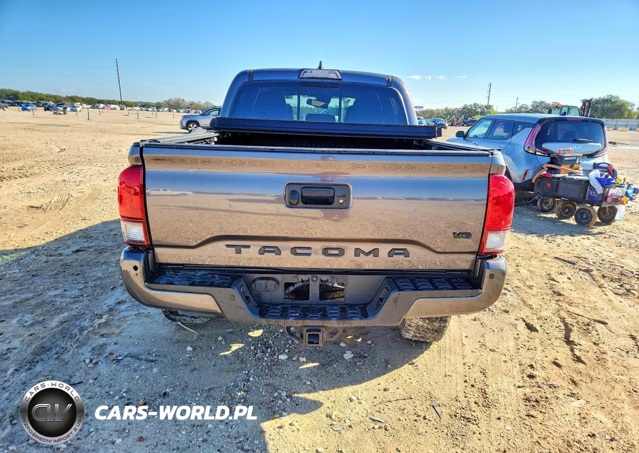 2019 Toyota Tacoma Trd Sport VIN:5TFAZ5CN1KX075766 - 6
