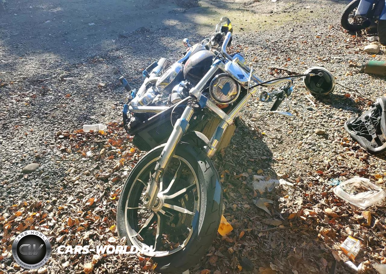 2019 Harley-Davidson Fxlr VIN:1HD1YNJ20KB059081 - 2