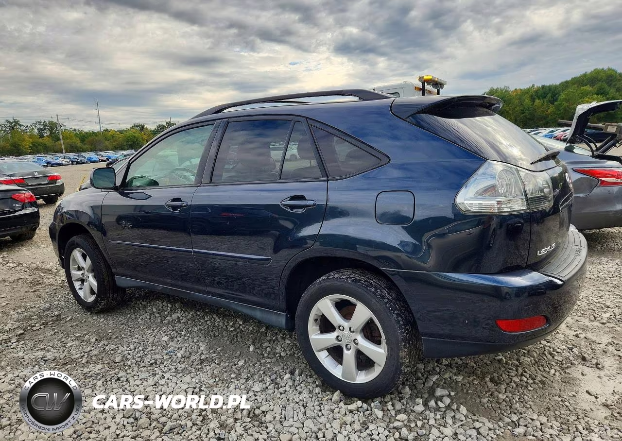 2004 Lexus Rx 330 VIN:JTJHA31U440019625 - 2