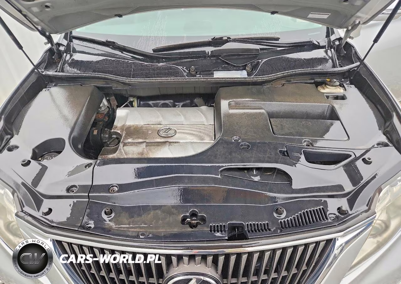 2010 Lexus Rx 350 VIN:2T2BK1BA5AC014719 - 12