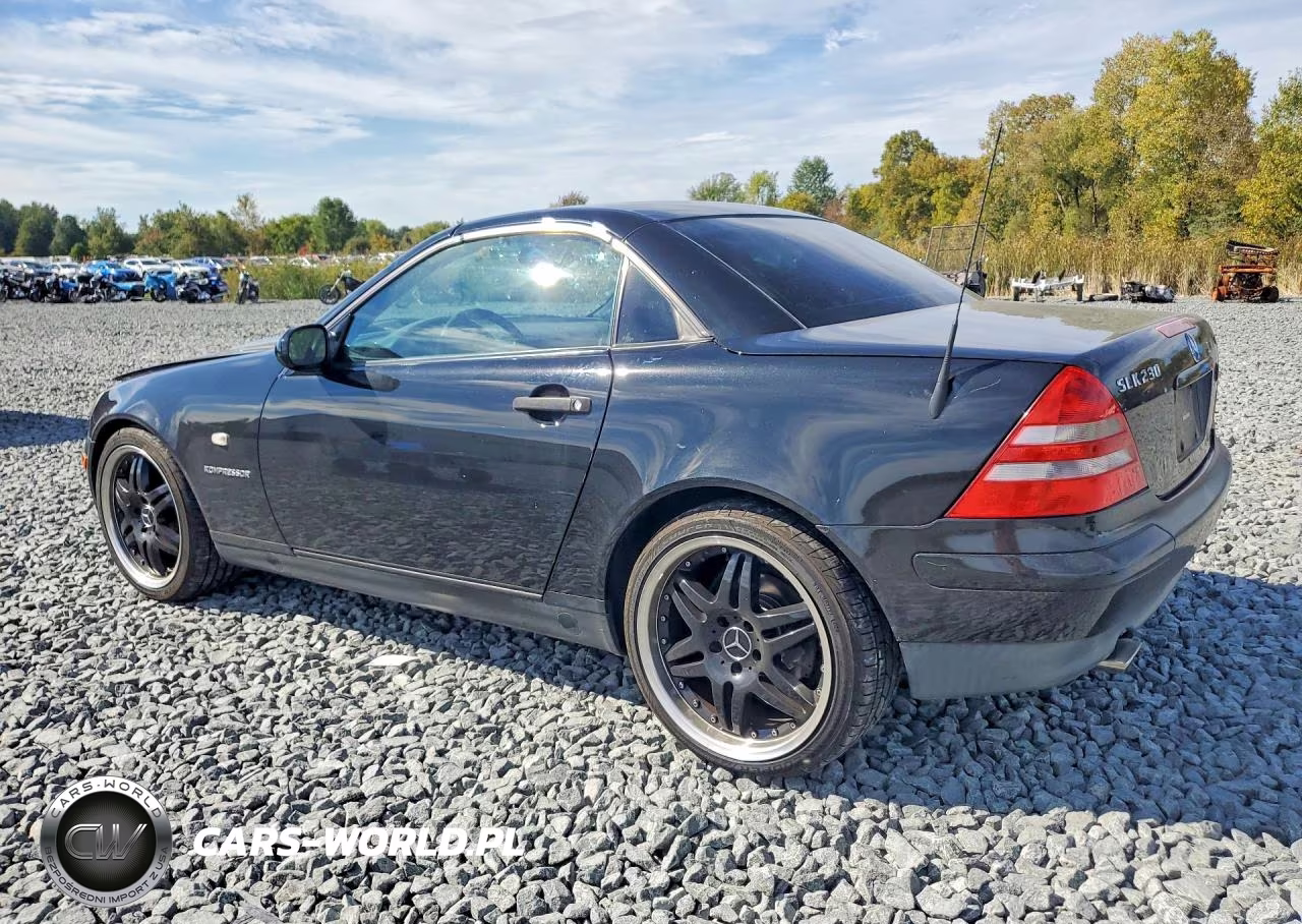 2000 Mercedes-Benz Slk 230 Kompressor VIN:WDBKK47F7YF164003 - 2