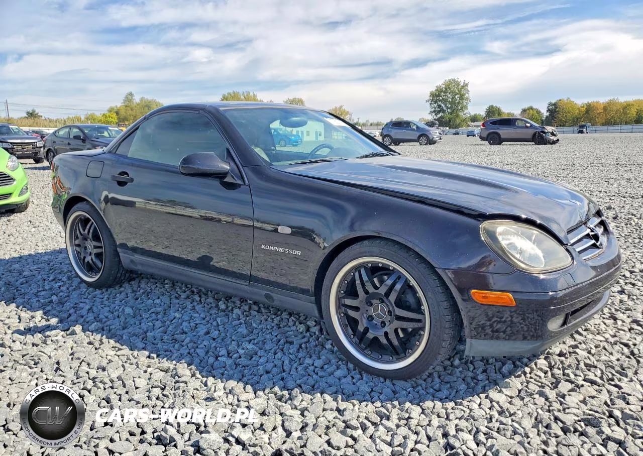 2000 Mercedes-Benz Slk 230 Kompressor VIN:WDBKK47F7YF164003 - 4