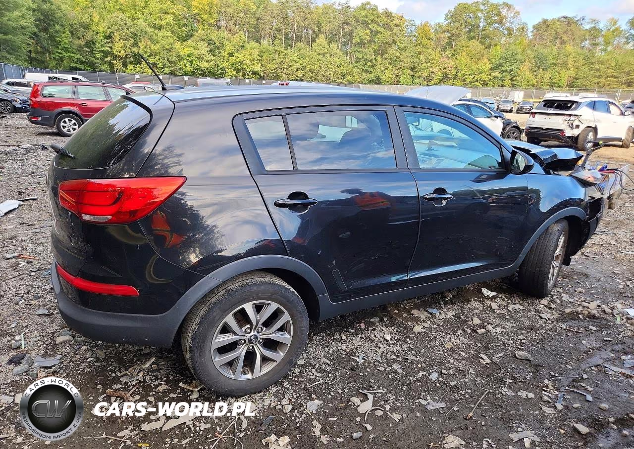 2016 Kia Sportage Lx VIN:KNDPB3AC0G7806778 - 3