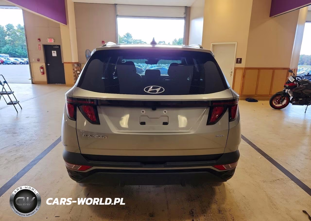 2024 Hyundai Tucson Sel VIN:5NMJBCDEXRH408928 - 6