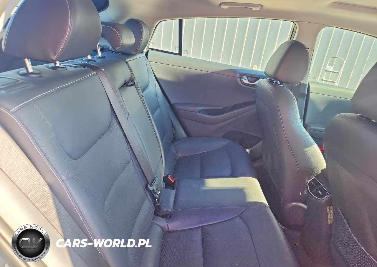 2019 Hyundai Ioniq Limited VIN:KMHC05LC5KU125812 - 10