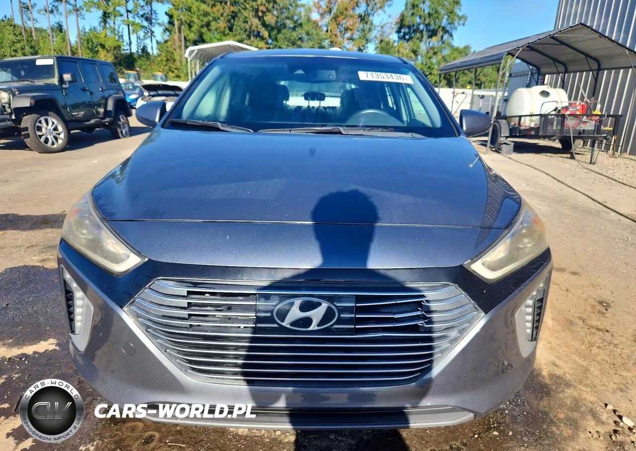 2019 Hyundai Ioniq Limited VIN:KMHC05LC5KU125812 - 5
