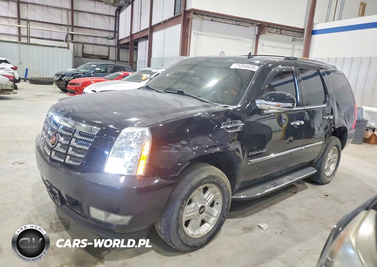 2013 Cadillac Escalade Luxury VIN:1GYS4BEF2DR101736 - 1