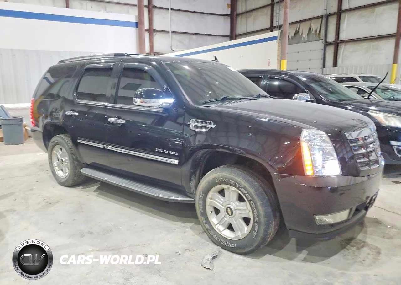 2013 Cadillac Escalade Luxury VIN:1GYS4BEF2DR101736 - 4