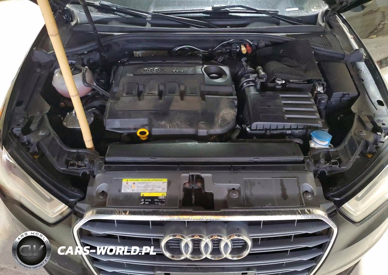 2015 Audi A3 Premium Plus VIN:WAUCJGFF4F1101251 - 11