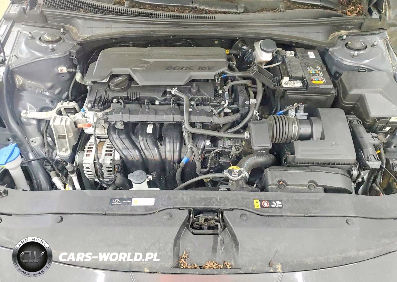 2024 Hyundai Elantra Sel VIN:KMHLM4DG8RU768911 - 11