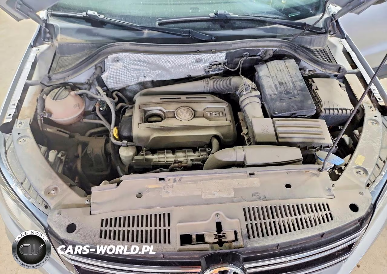2014 Volkswagen Tiguan S VIN:WVGCV3AX9EW546193 - 12