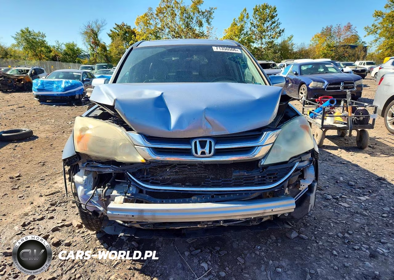 2010 Honda Cr-V Exl VIN:5J6RE4H7XAL099437 - 5